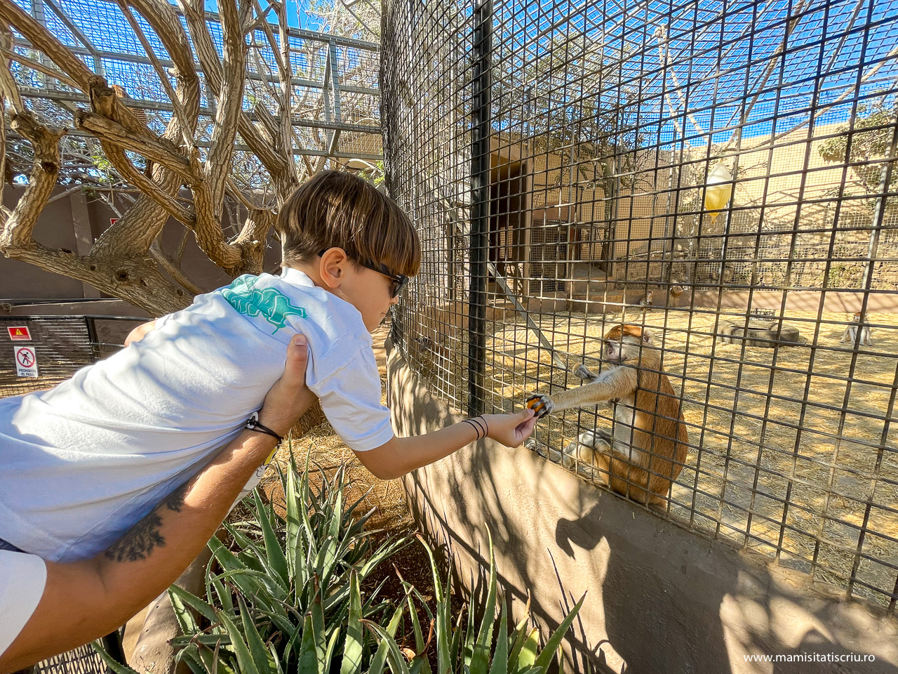 Monkey Park Tenerife