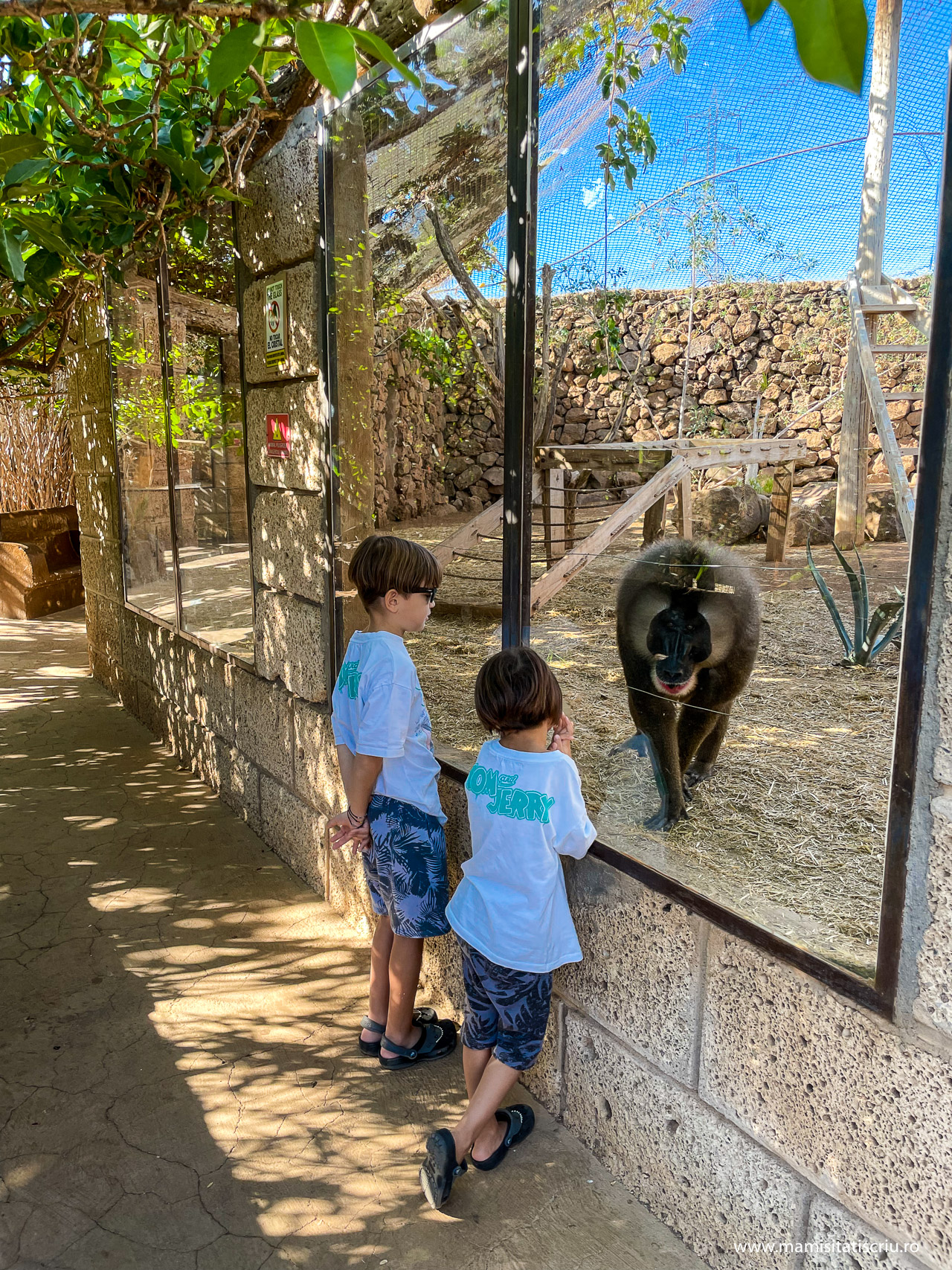 Monkey Park Tenerife