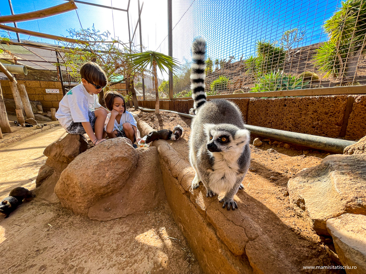 Monkey Park Tenerife