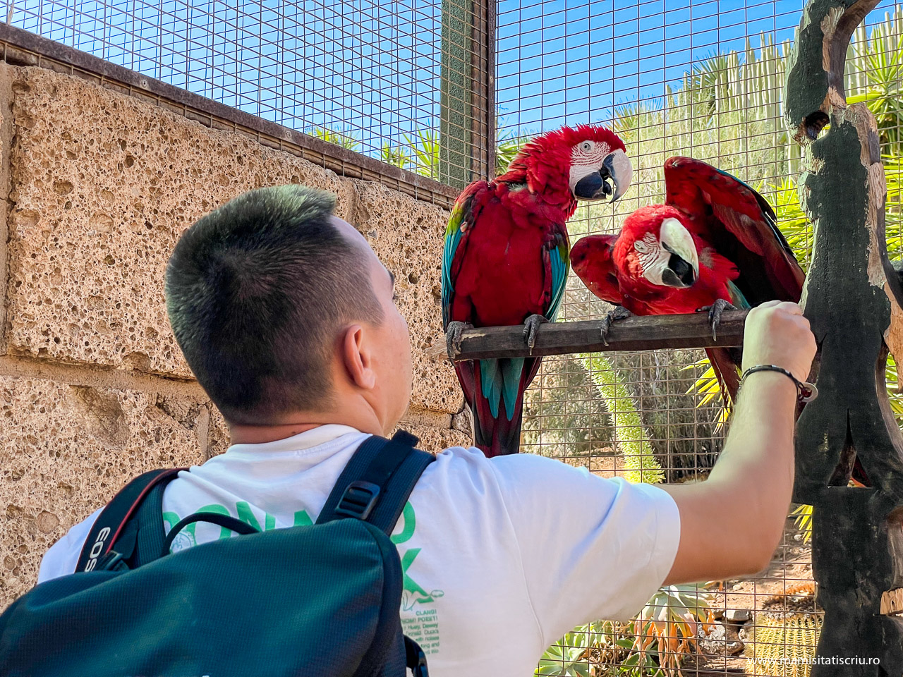 Monkey Park Tenerife