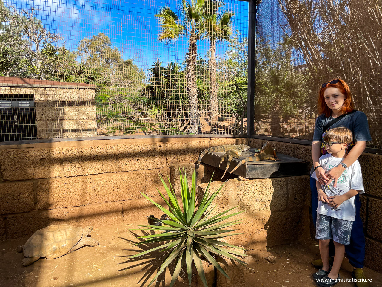 Monkey Park Tenerife