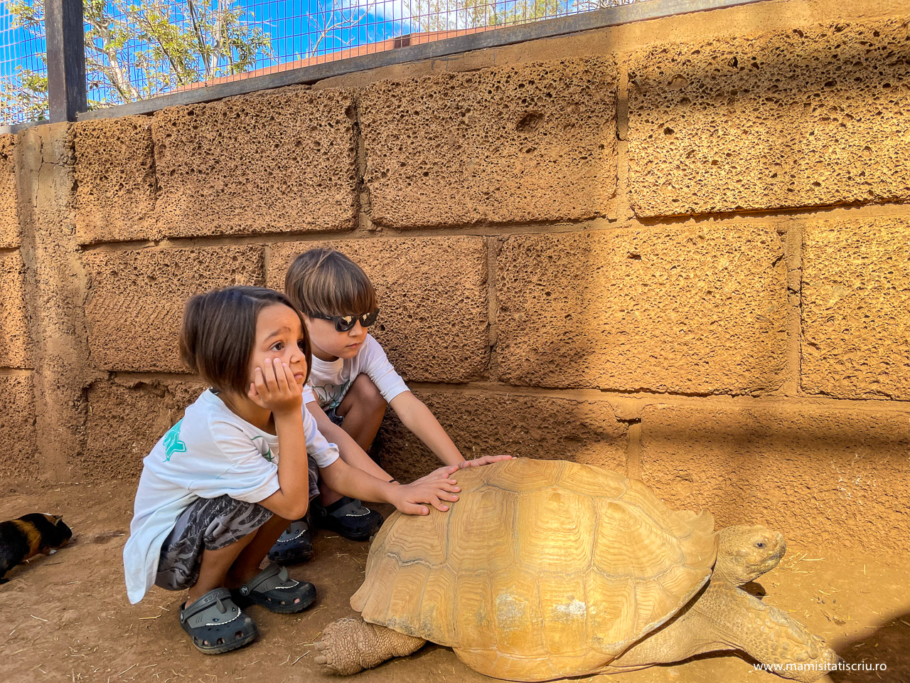 Monkey Park Tenerife