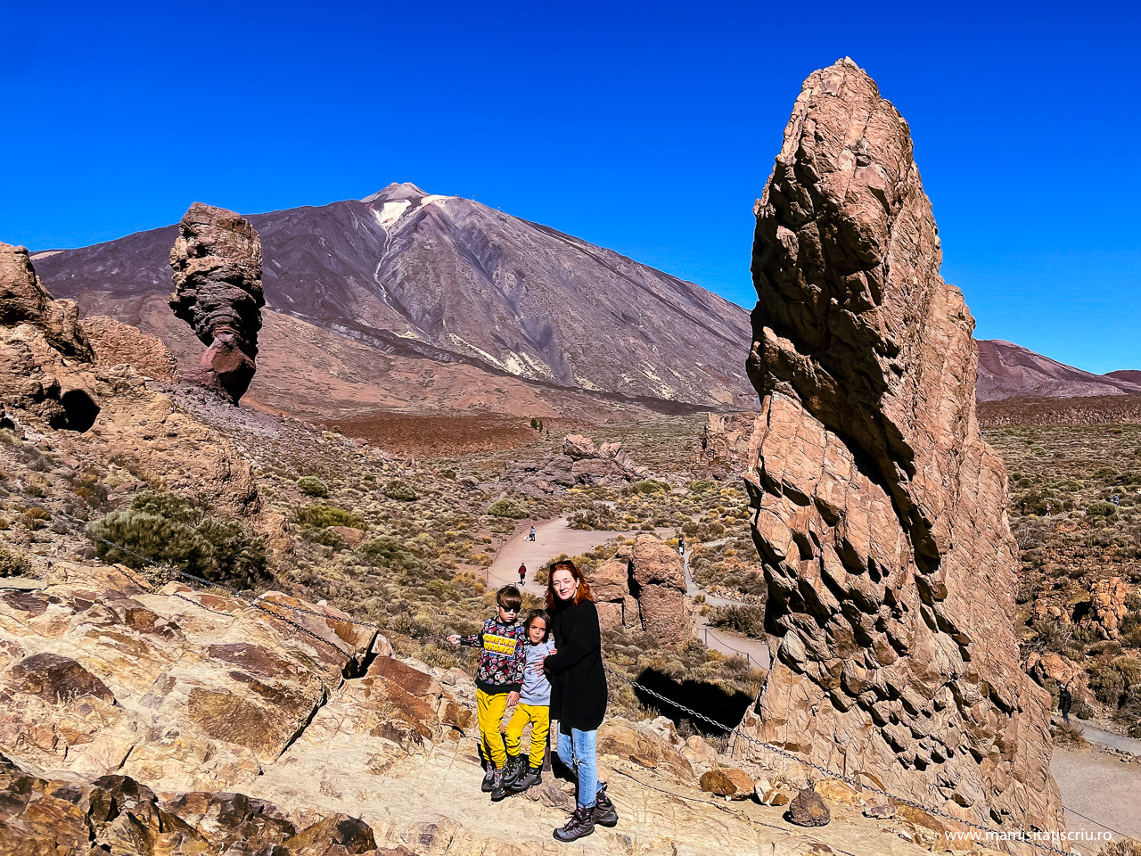 Stone Tree si Teide