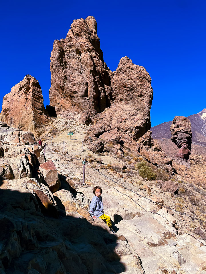 Stone Tree si Teide