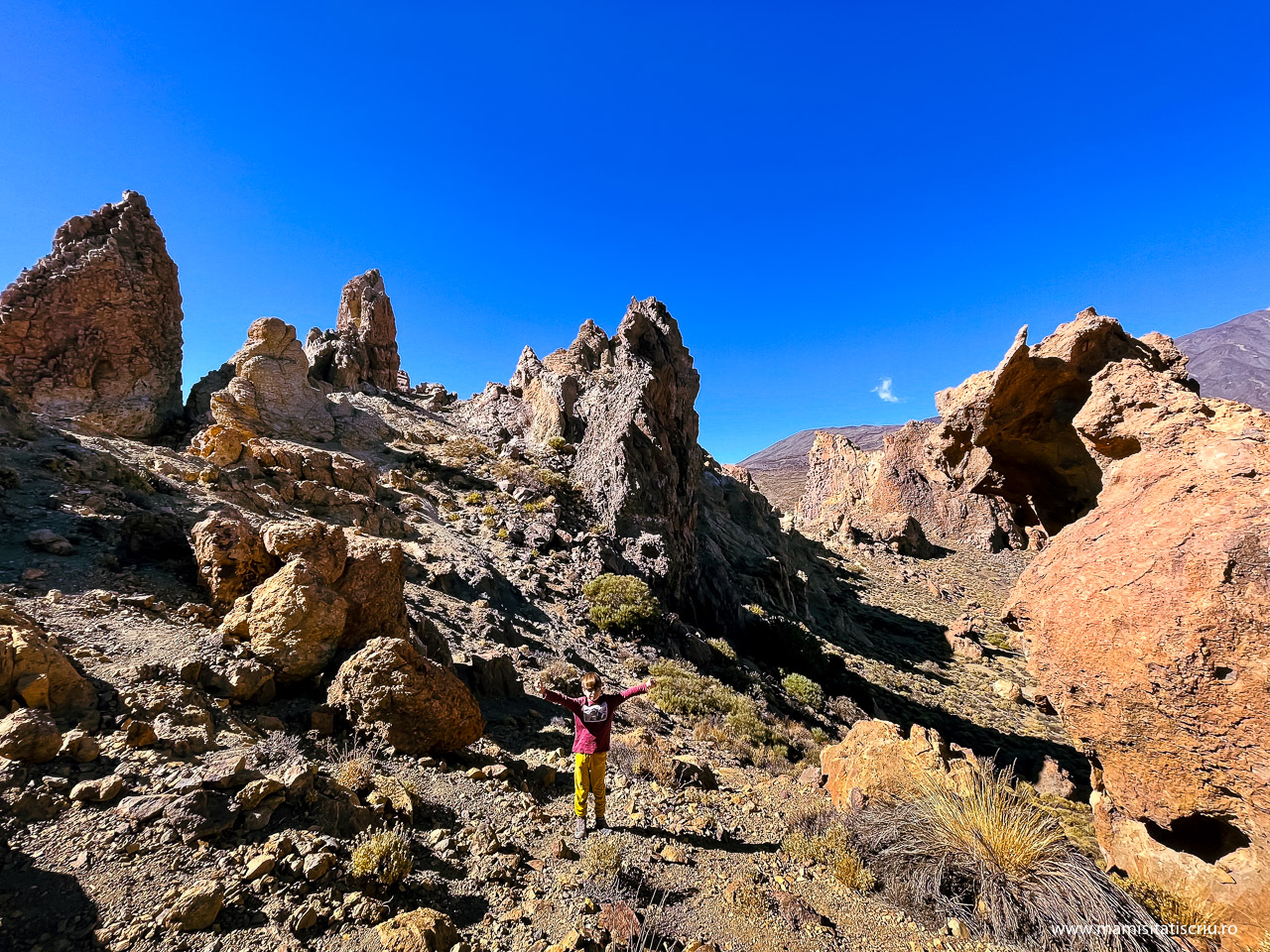 Roques de Garcia