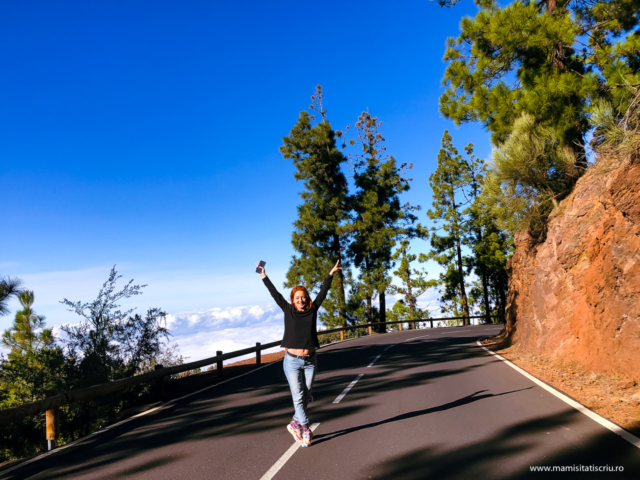 Nori catre Teide