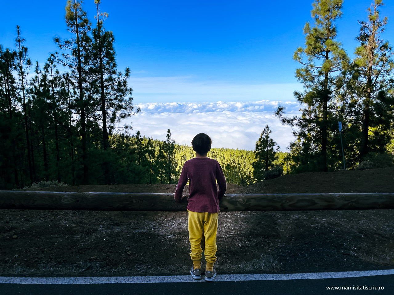 Nori catre Teide