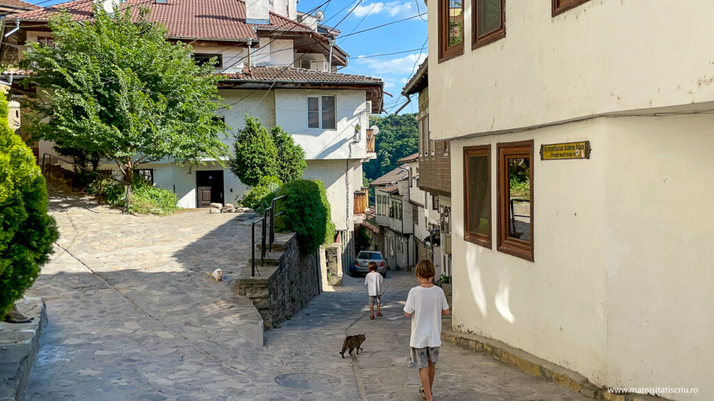 Strada Gurko Veliko Tarnovo