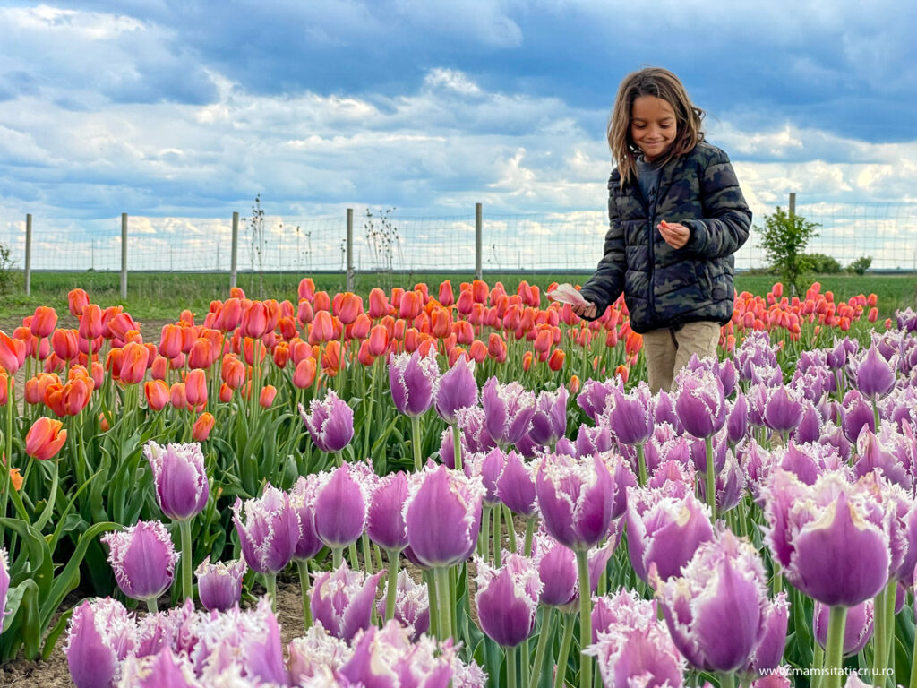 Bucuria de pe chipul lui ca poate aduna de pe jos petalele colorate ale lalelelor lui preferate 💐