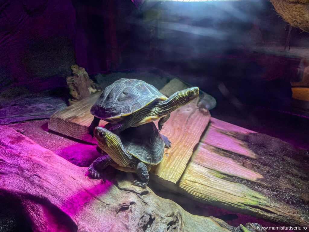 Acvariu Munchen - Mami si Tati scriu